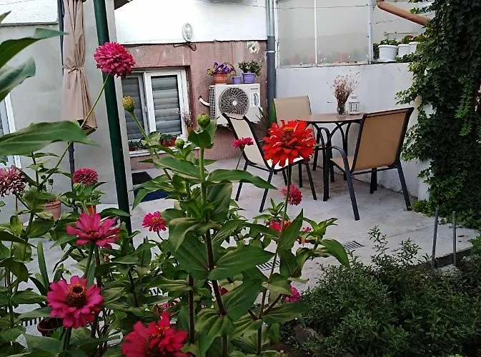 Kamenitza Guest Flat Daire *