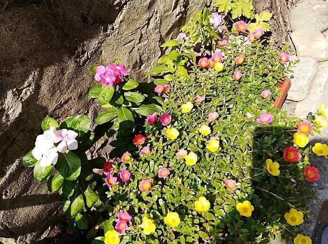 Kamenitza Guest Flat